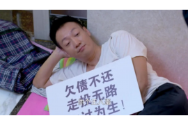 香洲催账公司联系电话：解决欠款难题的可靠伙伴